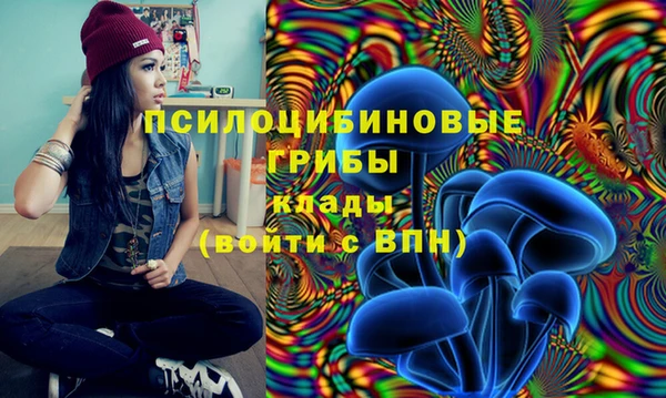 Альфа ПВП Алексеевка