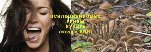прущая мука Арсеньев