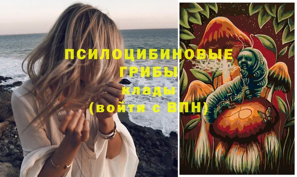 Альфа ПВП Алексеевка